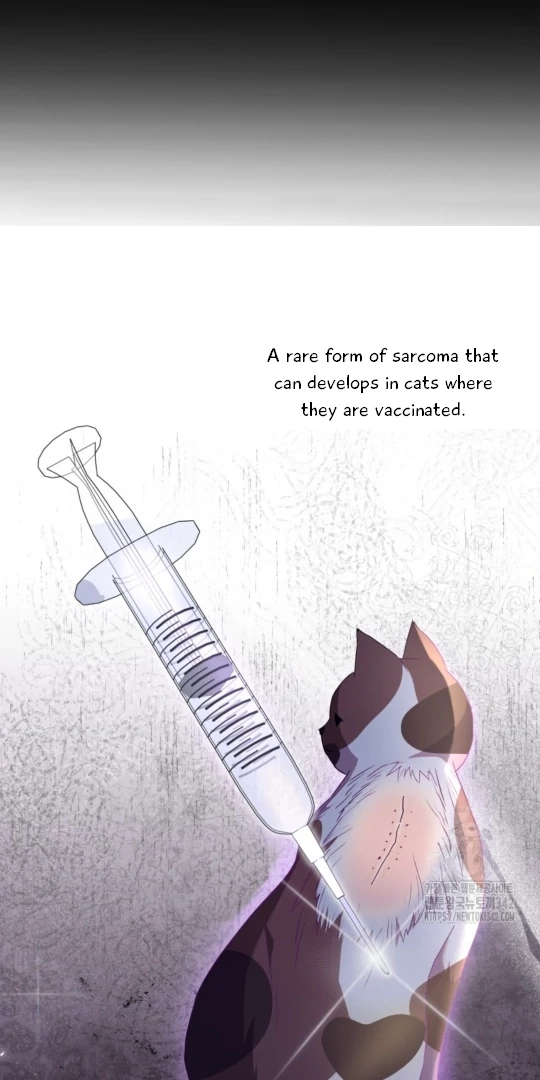 Hello, Mr. Veterinarian! Chapter 53 page 9 - 