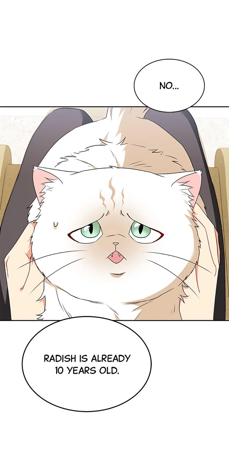 Hello, Mr. Veterinarian! Chapter 54 page 40 - 