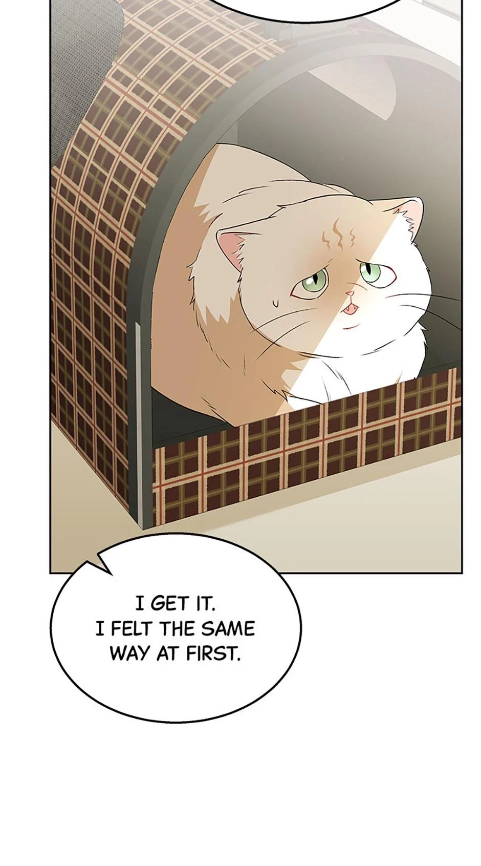 Hello, Mr. Veterinarian! Chapter 54 page 67 - 