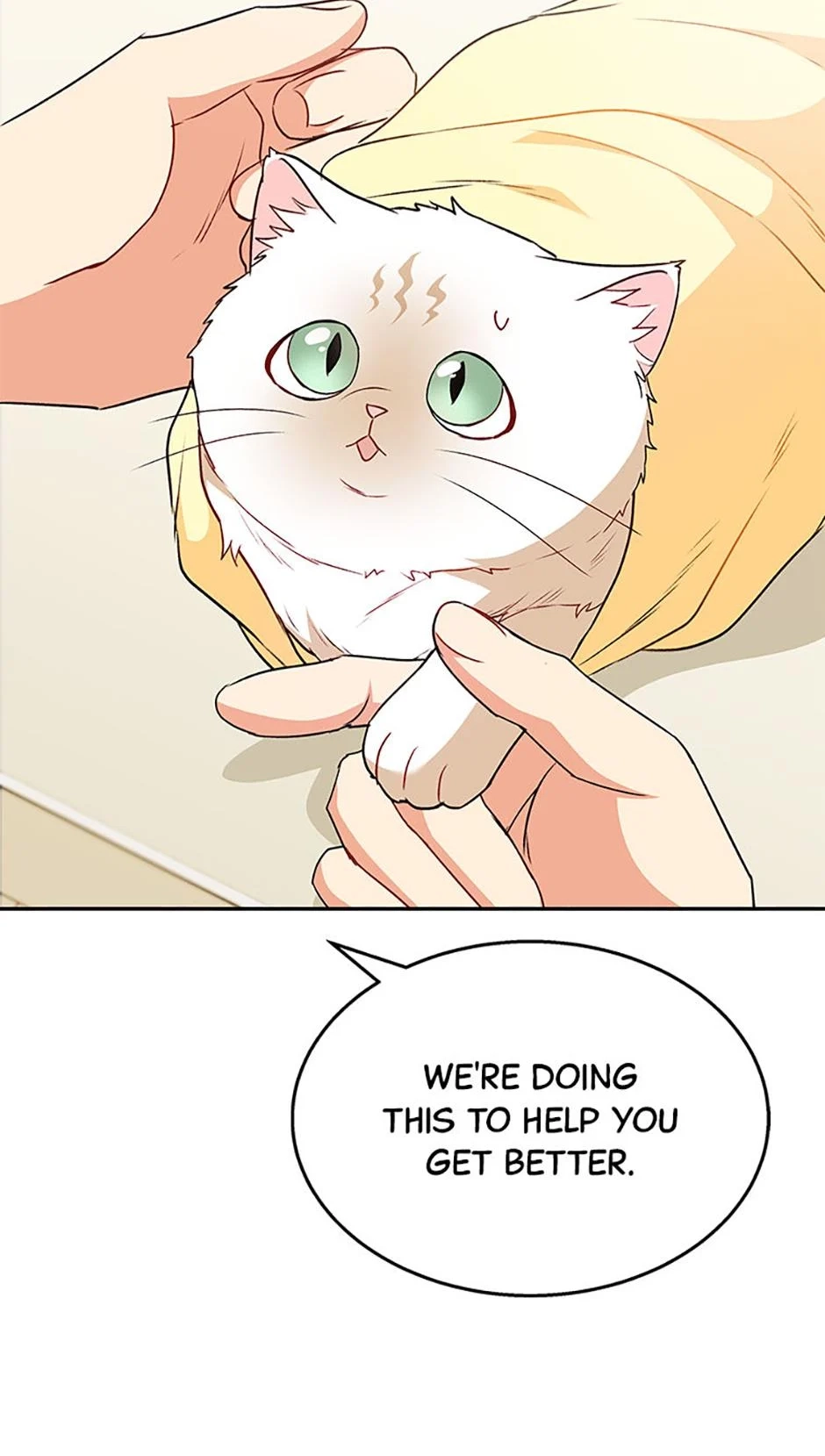 Hello, Mr. Veterinarian! Chapter 54 page 78 - 