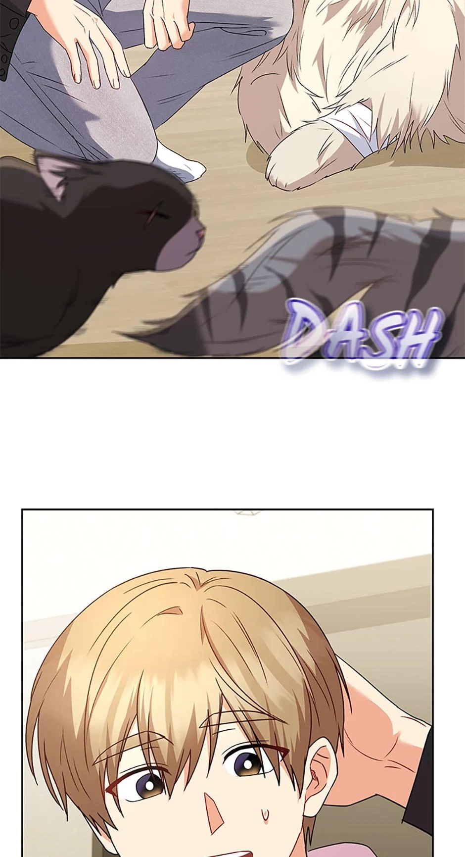 Hello, Mr. Veterinarian! Chapter 56 page 51 - 
