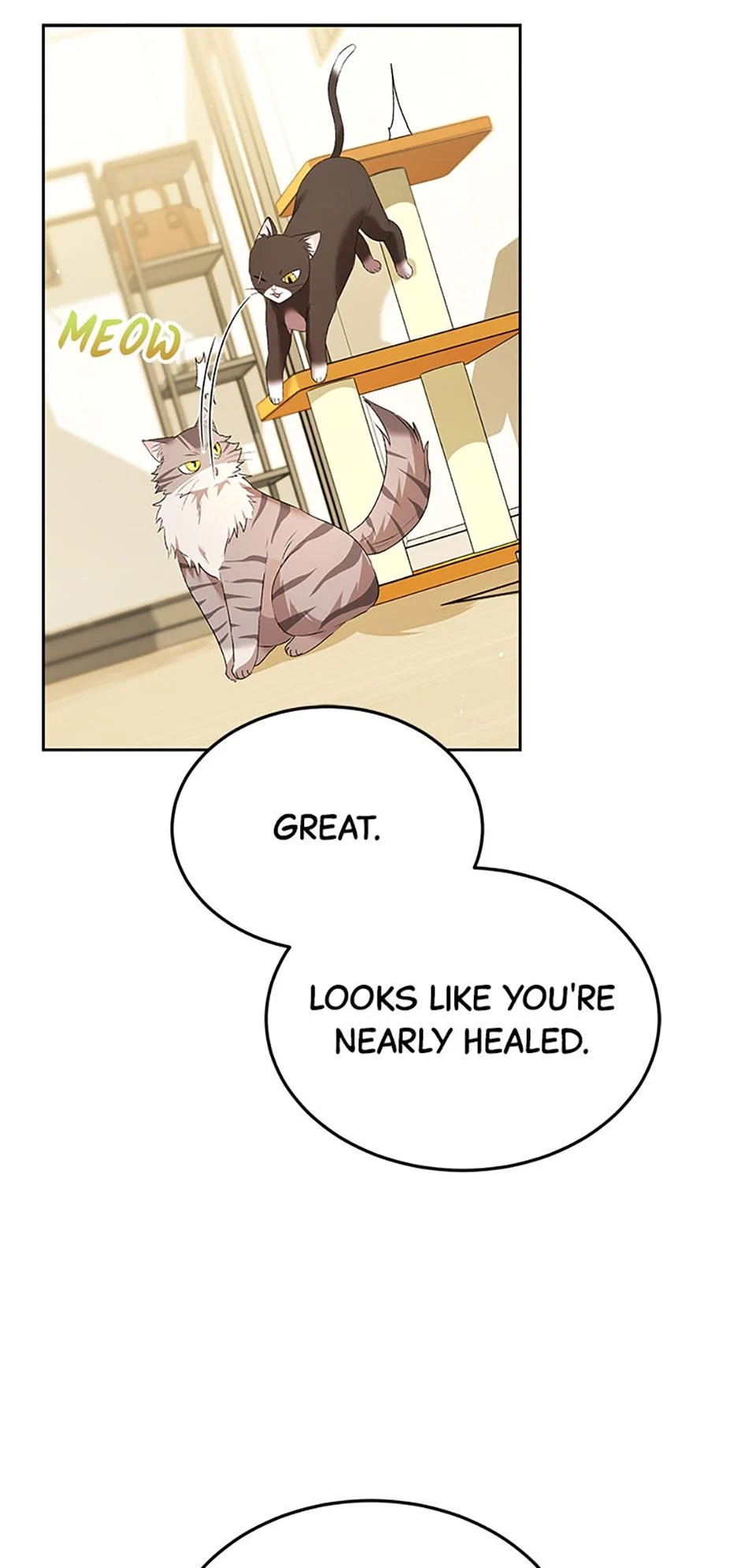 Hello, Mr. Veterinarian! Chapter 56 page 62 - 