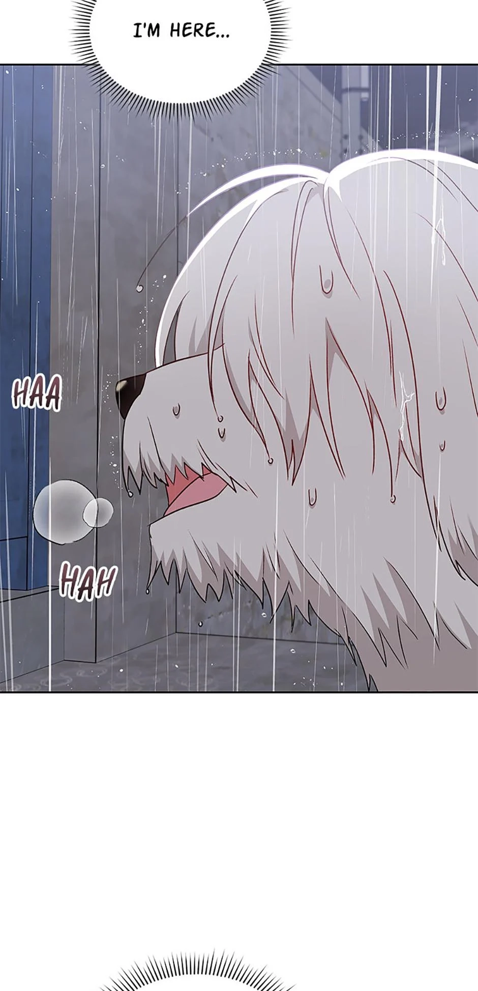Hello, Mr. Veterinarian! Chapter 57 page 50 - 