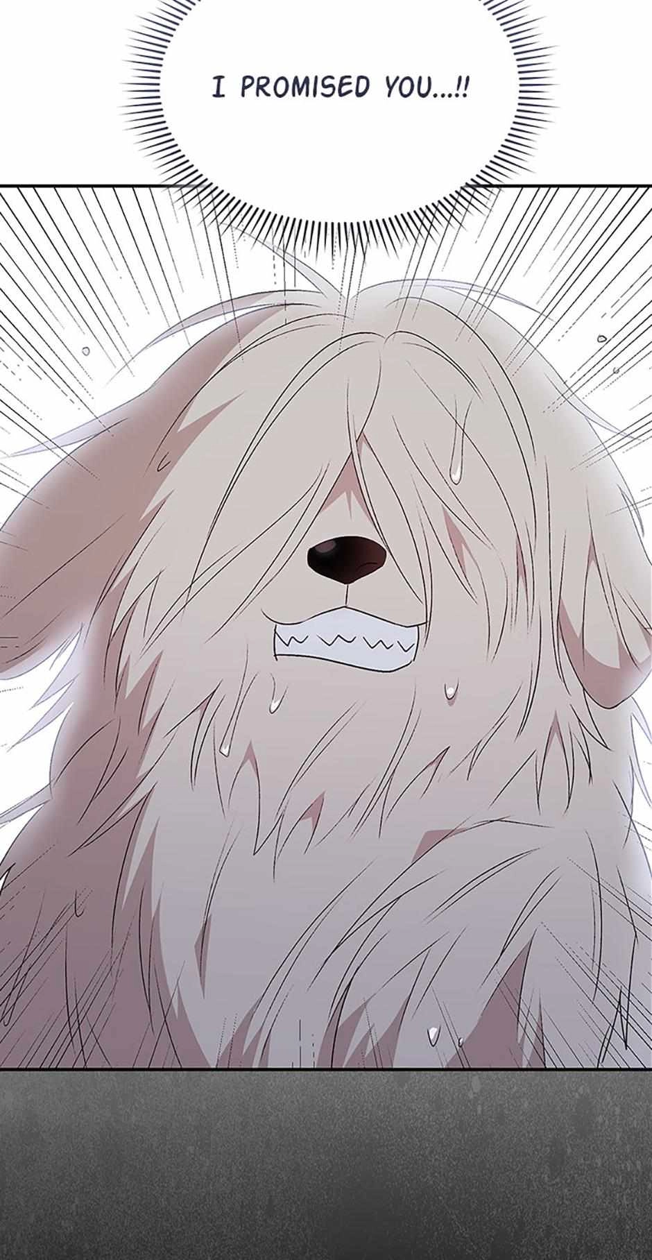 Hello, Mr. Veterinarian! Chapter 57 page 6 - 