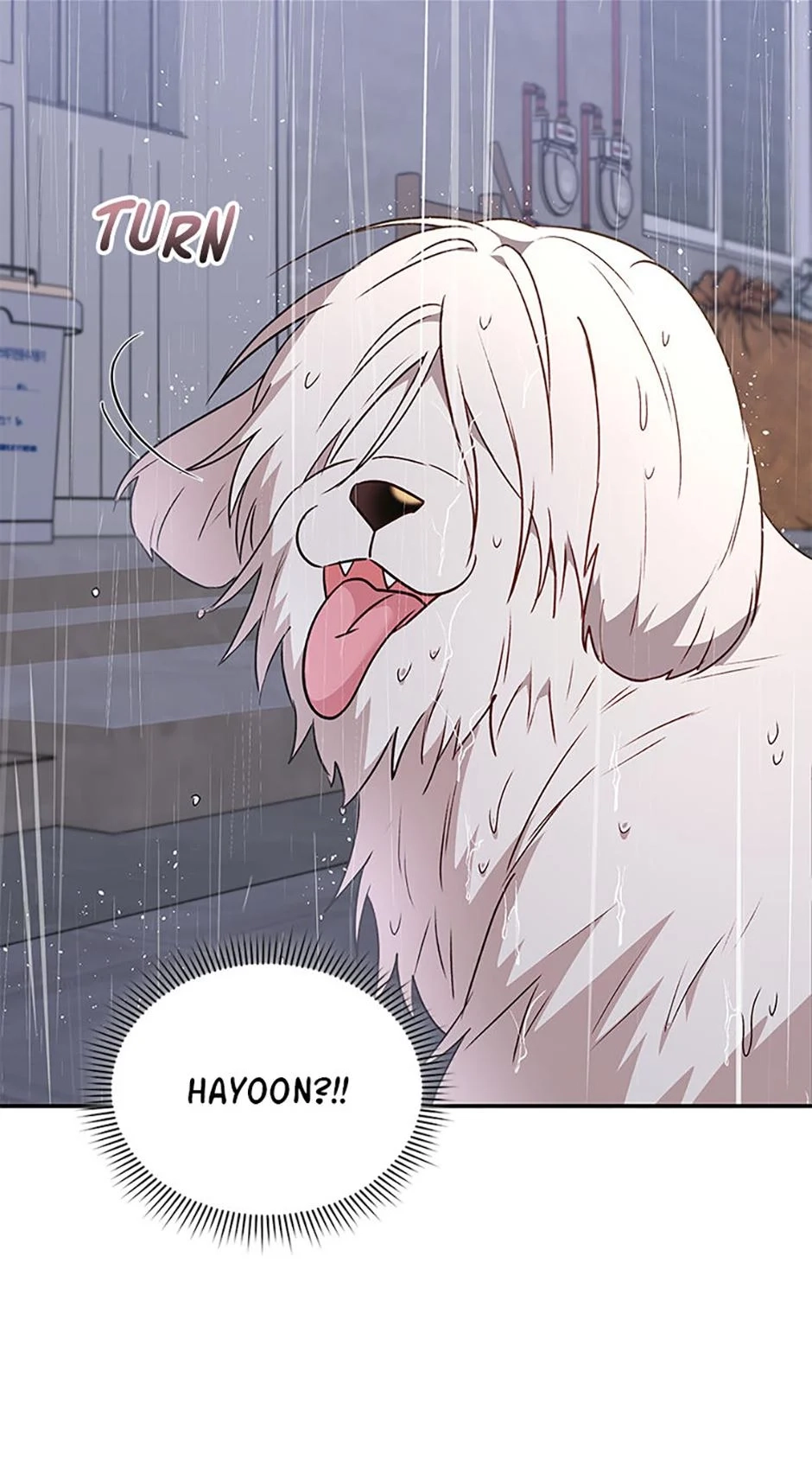 Hello, Mr. Veterinarian! Chapter 57 page 58 - 