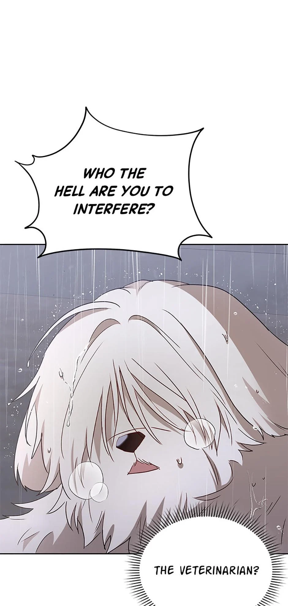 Hello, Mr. Veterinarian! Chapter 58 page 12 - 