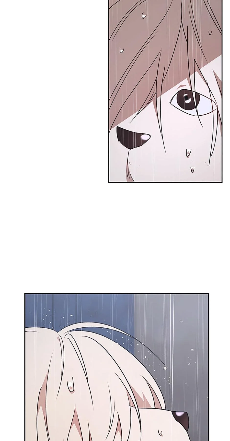 Hello, Mr. Veterinarian! Chapter 59 page 58 - 