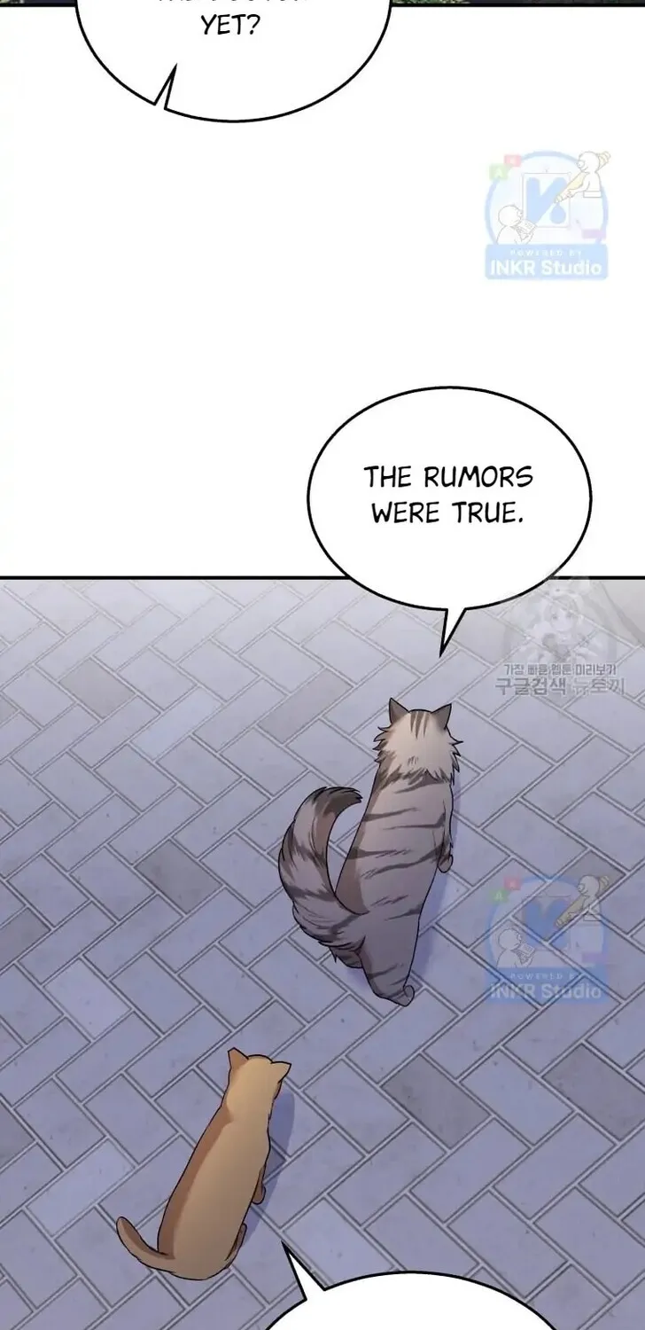 Hello, Mr. Veterinarian! Chapter 6 page 71 - 