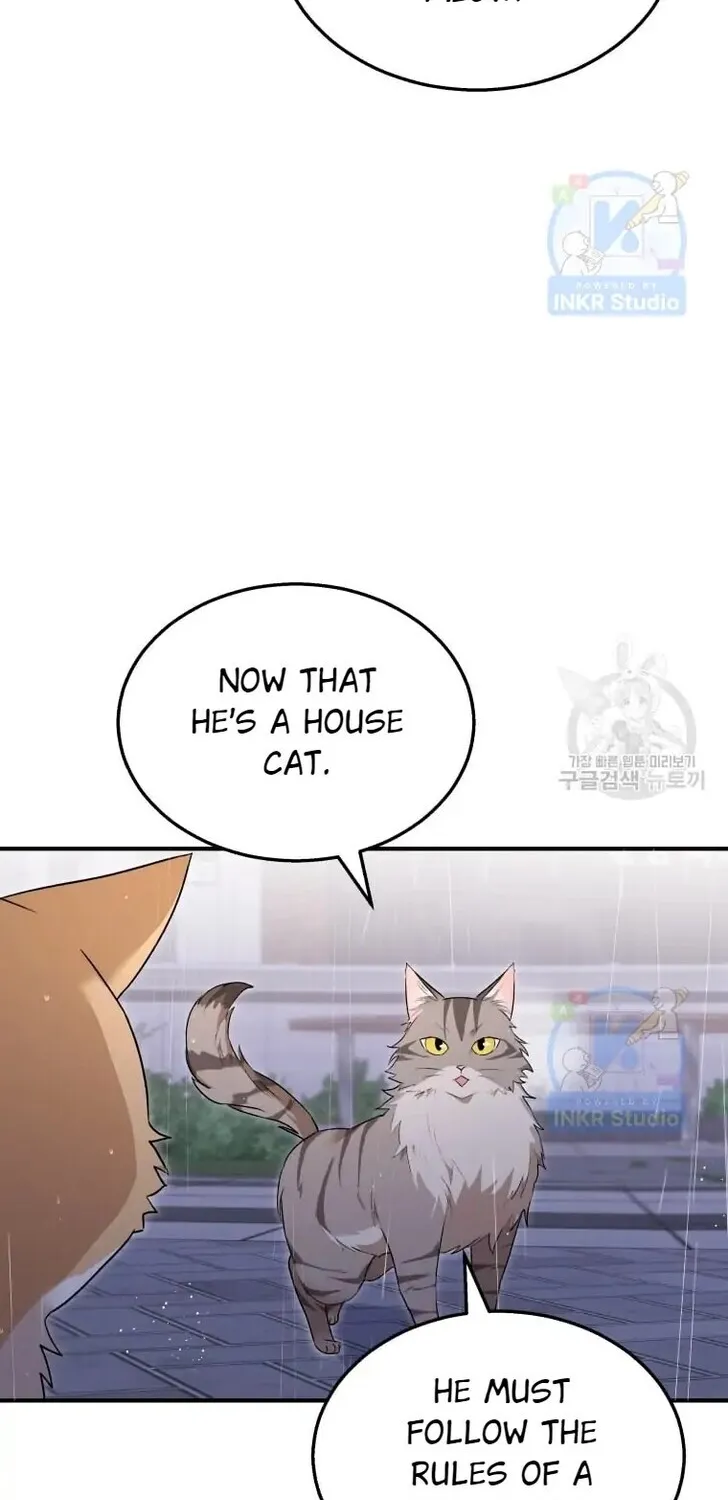 Hello, Mr. Veterinarian! Chapter 6 page 82 - 
