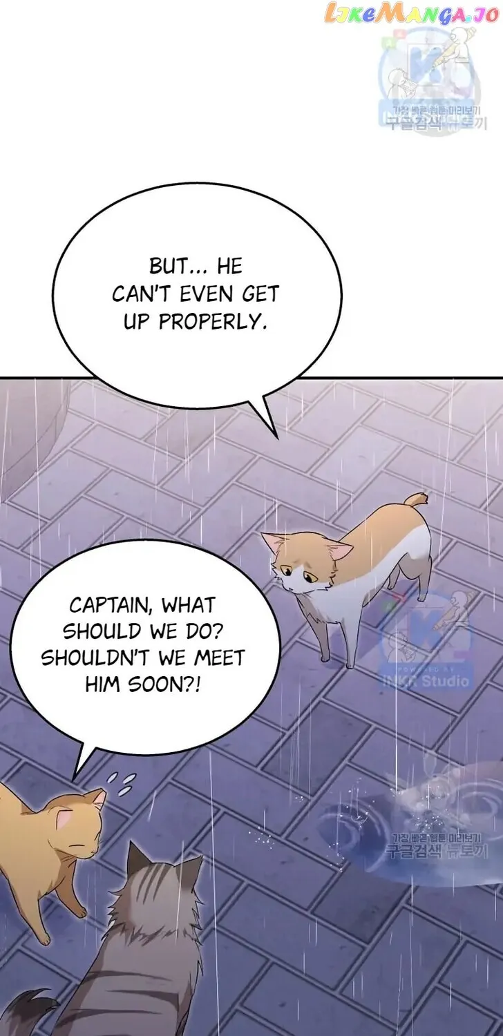 Hello, Mr. Veterinarian! Chapter 6 page 84 - 