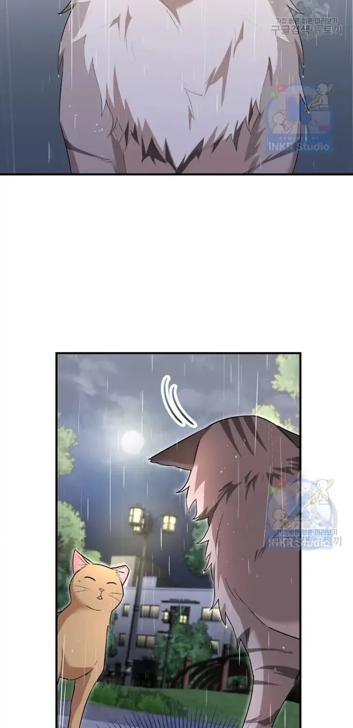 Hello, Mr. Veterinarian! Chapter 6 page 91 - 