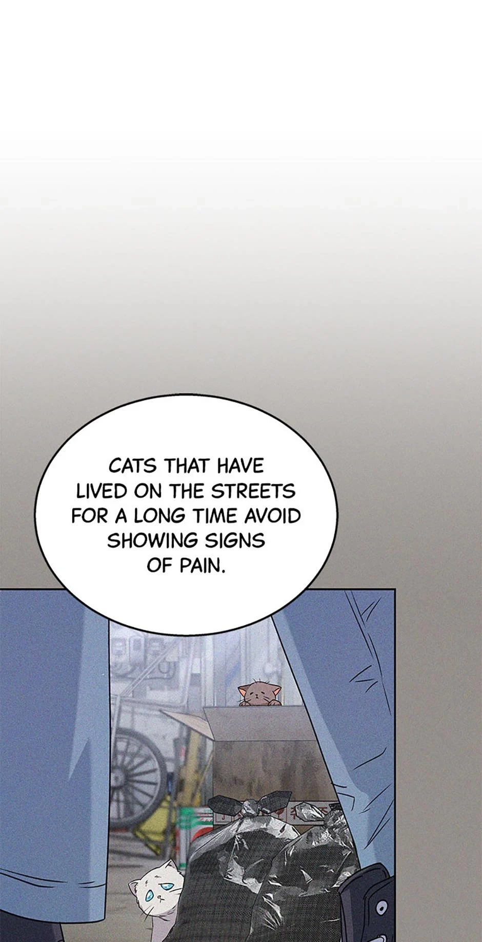 Hello, Mr. Veterinarian! Chapter 62 page 22 - 