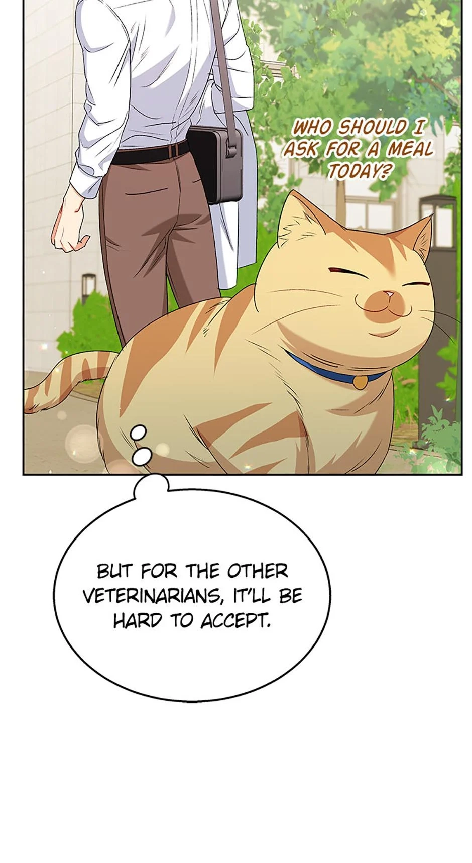Hello, Mr. Veterinarian! Chapter 62 page 45 - 