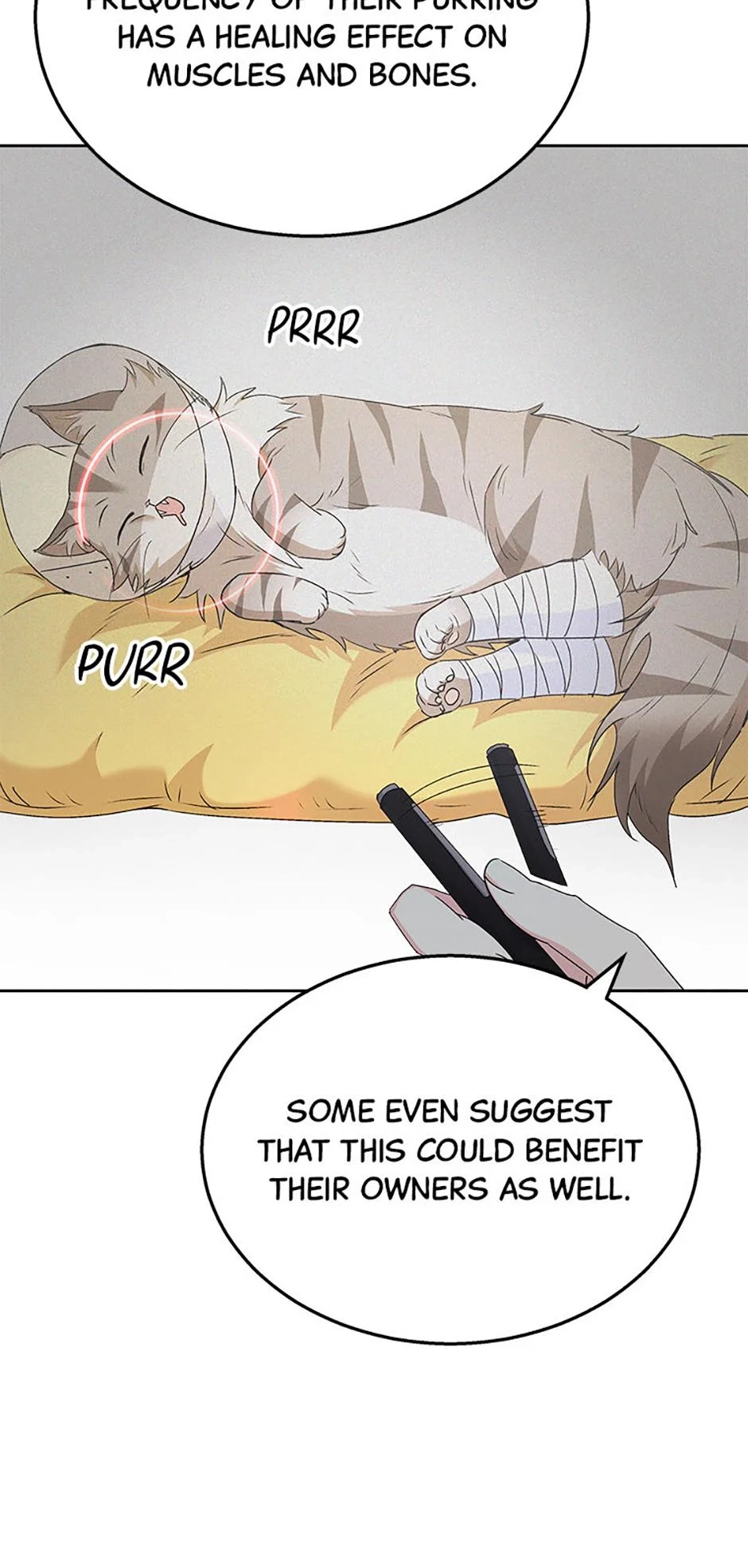 Hello, Mr. Veterinarian! Chapter 62 page 6 - 