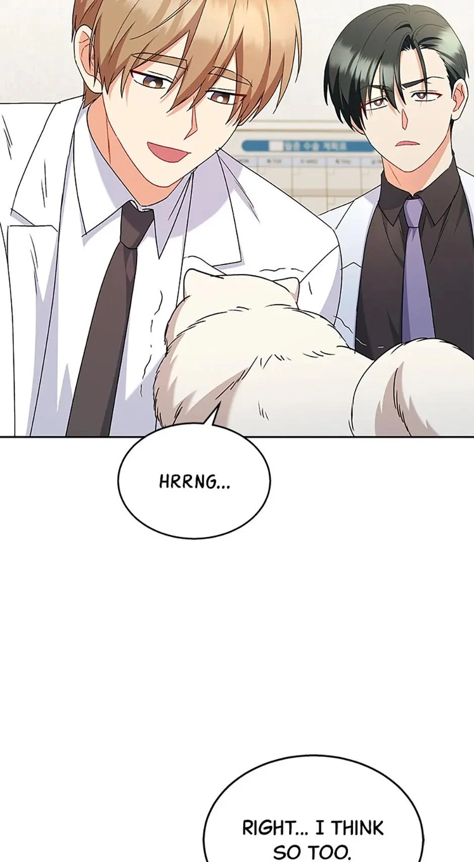 Hello, Mr. Veterinarian! Chapter 63 page 51 - 