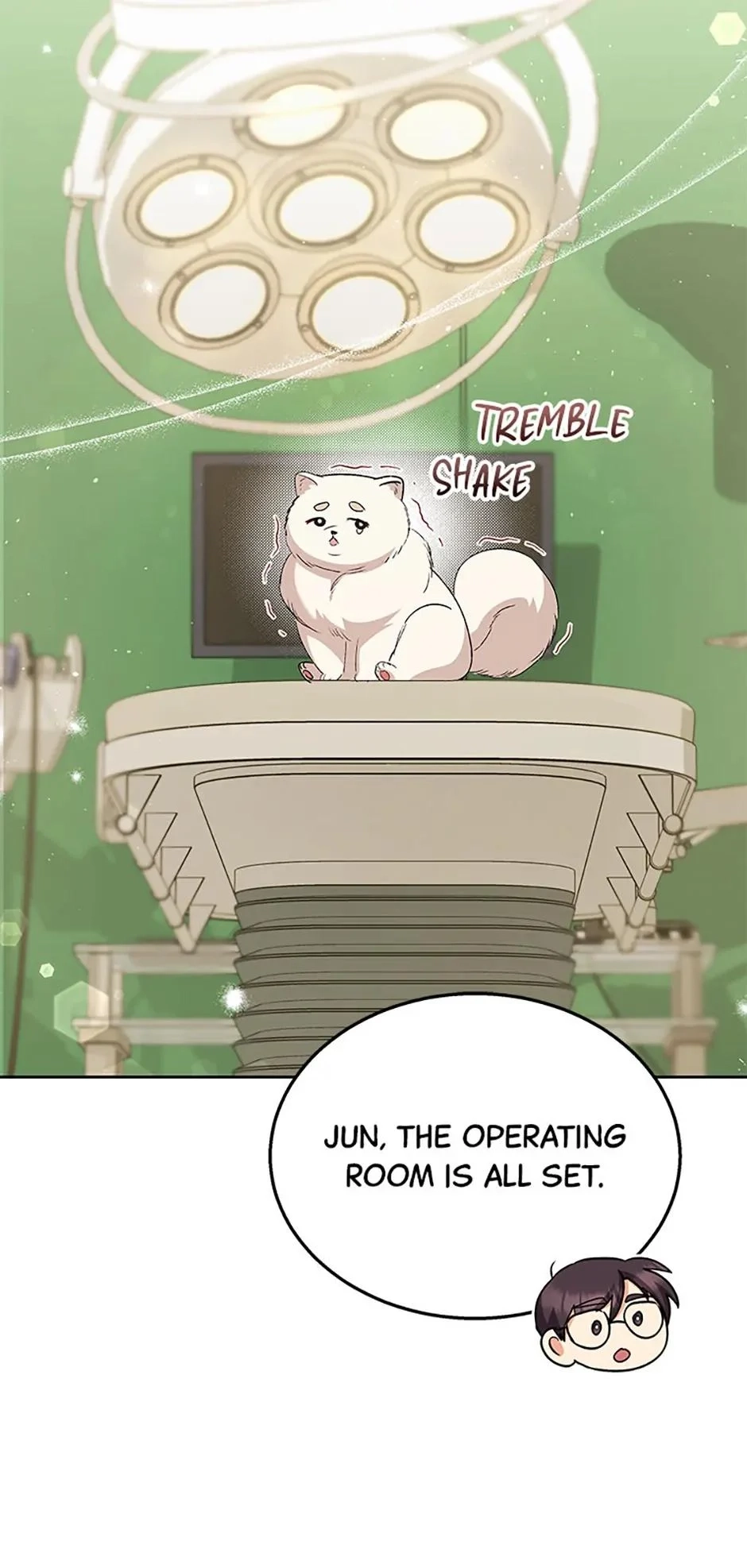 Hello, Mr. Veterinarian! Chapter 63 page 63 - 