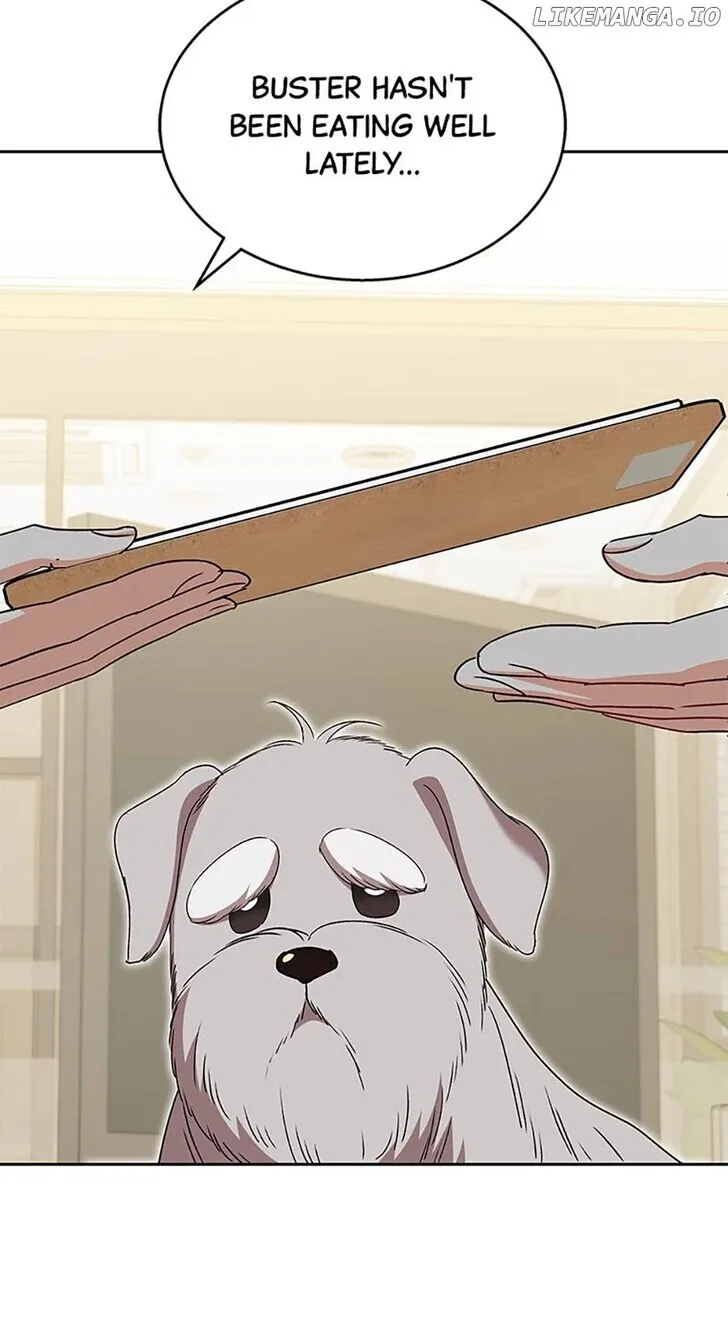 Hello, Mr. Veterinarian! Chapter 65 page 44 - 