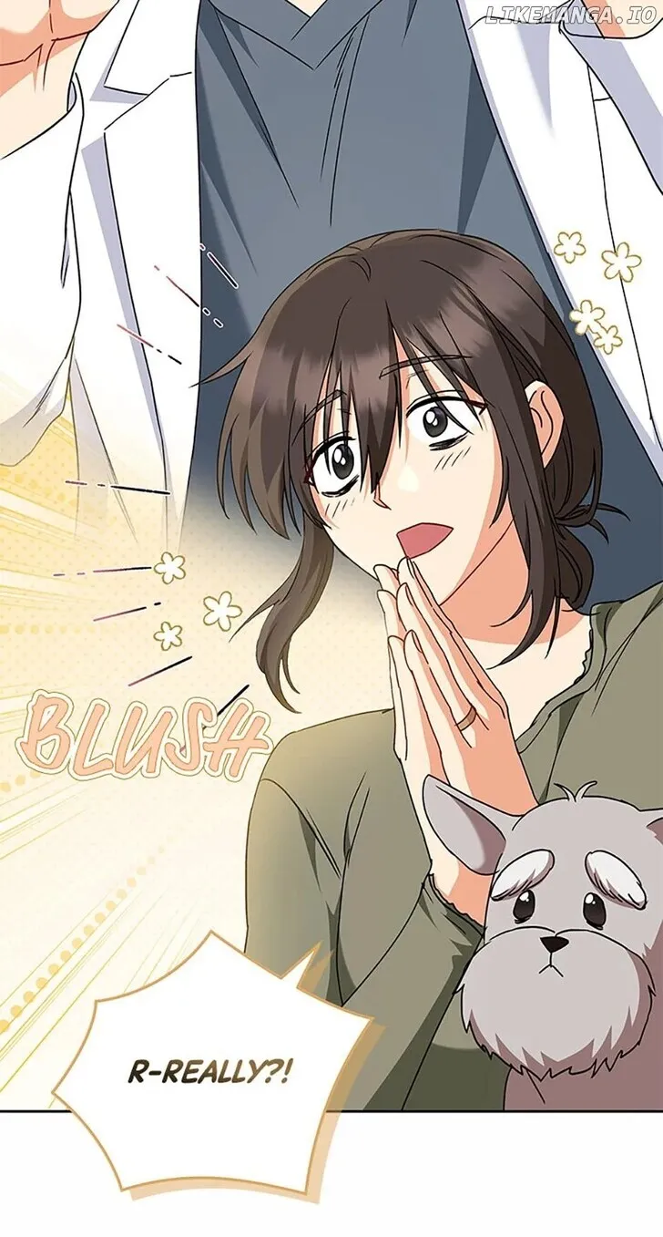 Hello, Mr. Veterinarian! Chapter 66 page 31 - 