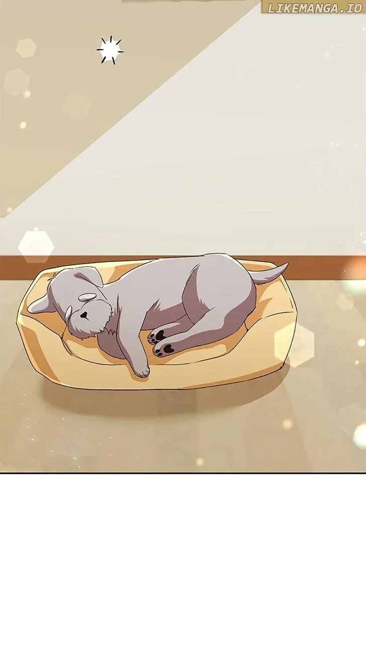 Hello, Mr. Veterinarian! Chapter 66 page 59 - 
