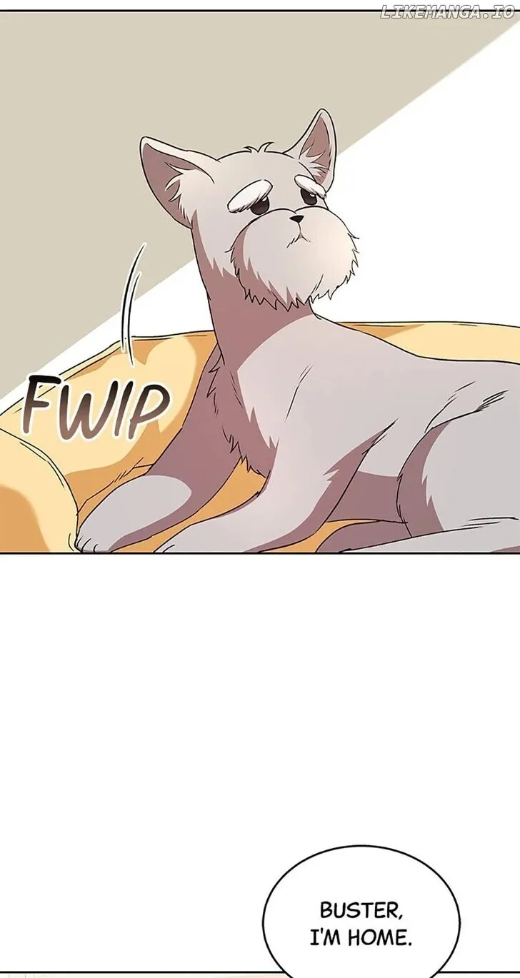 Hello, Mr. Veterinarian! Chapter 66 page 61 - 