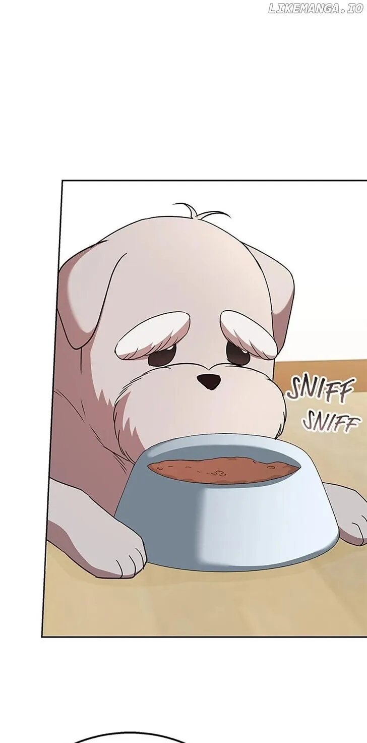 Hello, Mr. Veterinarian! Chapter 66 page 73 - 