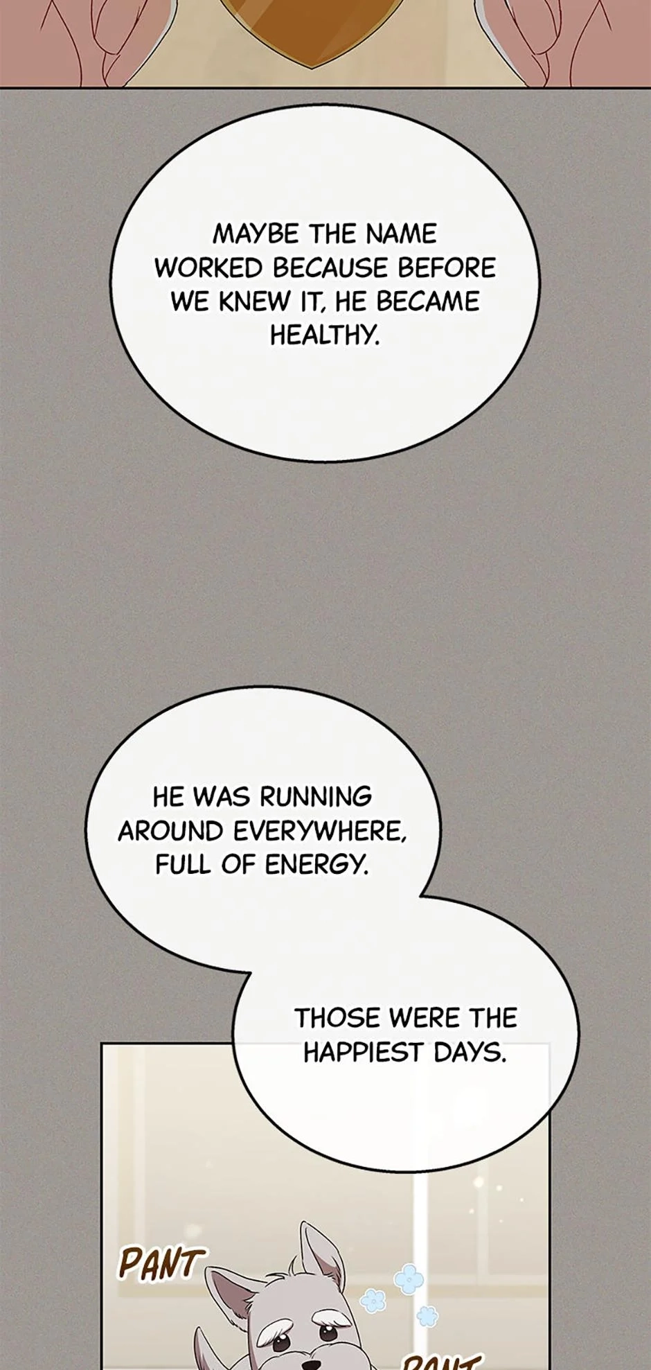 Hello, Mr. Veterinarian! Chapter 68 page 44 - 