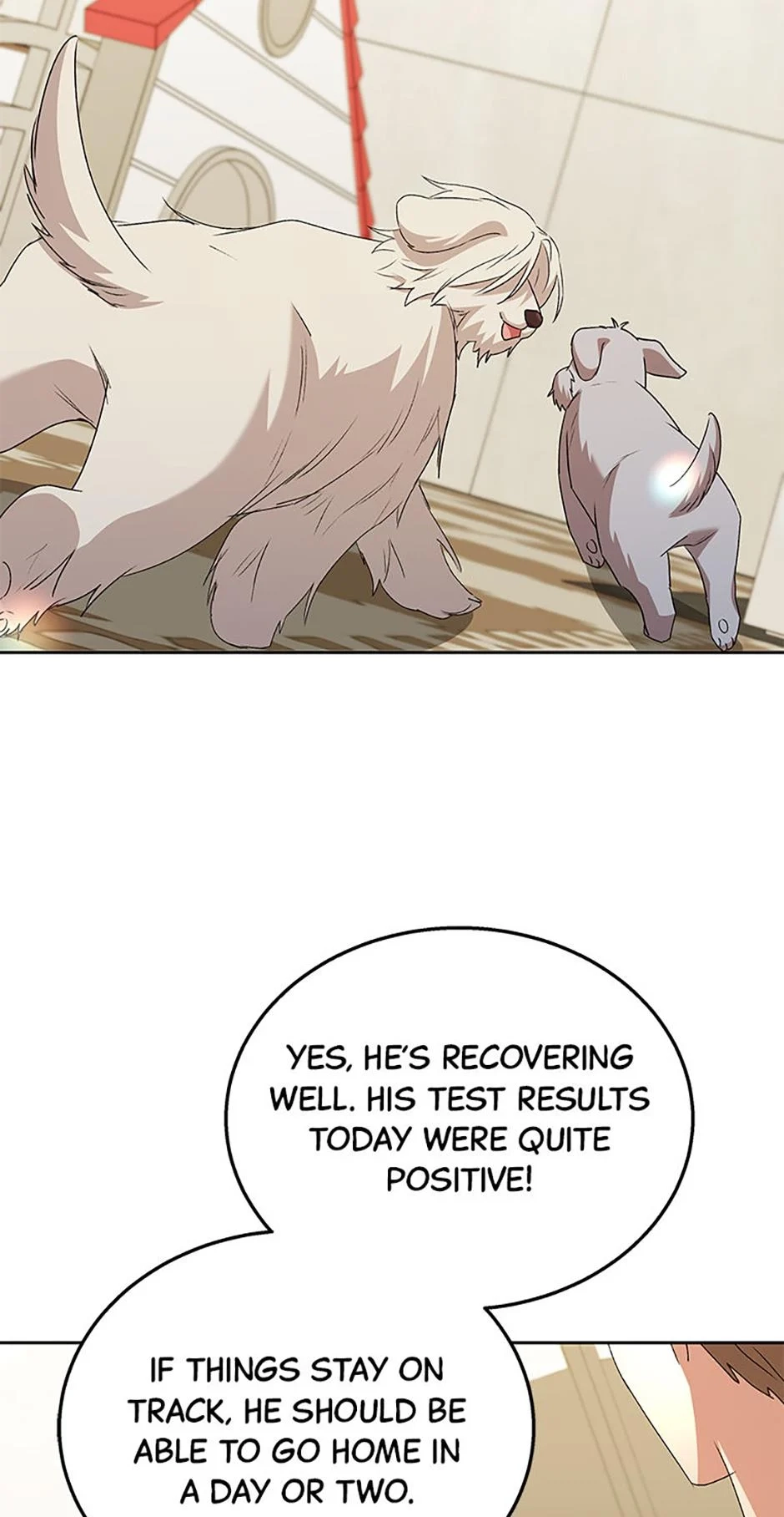 Hello, Mr. Veterinarian! Chapter 69 page 65 - 