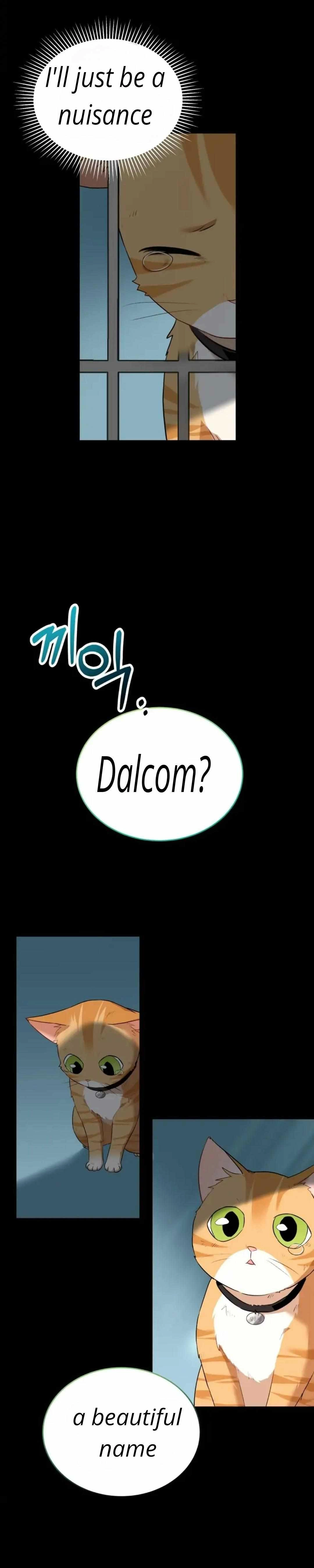 Hello, Mr. Veterinarian! Chapter 7.1 page 26 - 