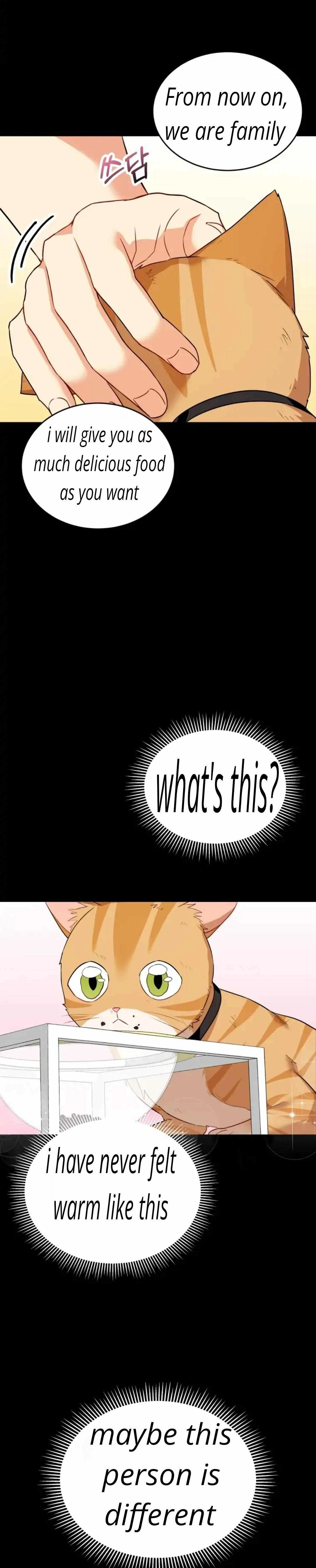 Hello, Mr. Veterinarian! Chapter 7.1 page 28 - 