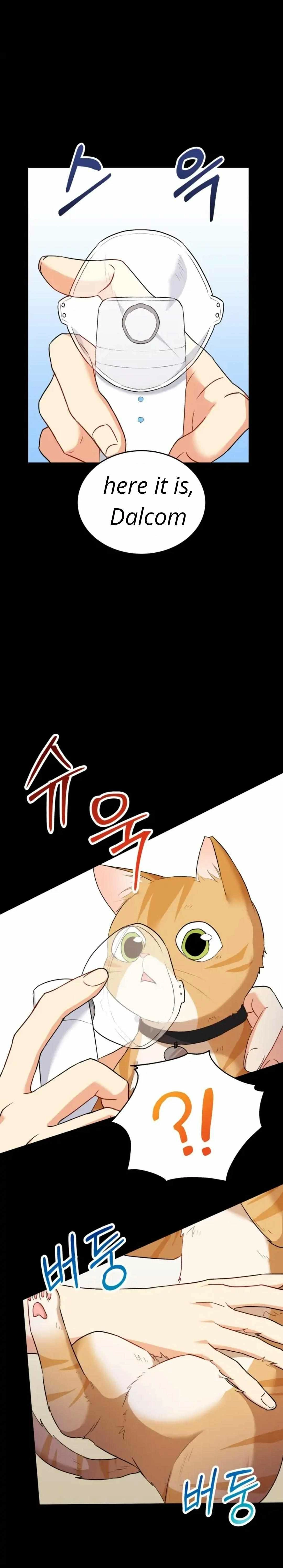 Hello, Mr. Veterinarian! Chapter 7.1 page 29 - 