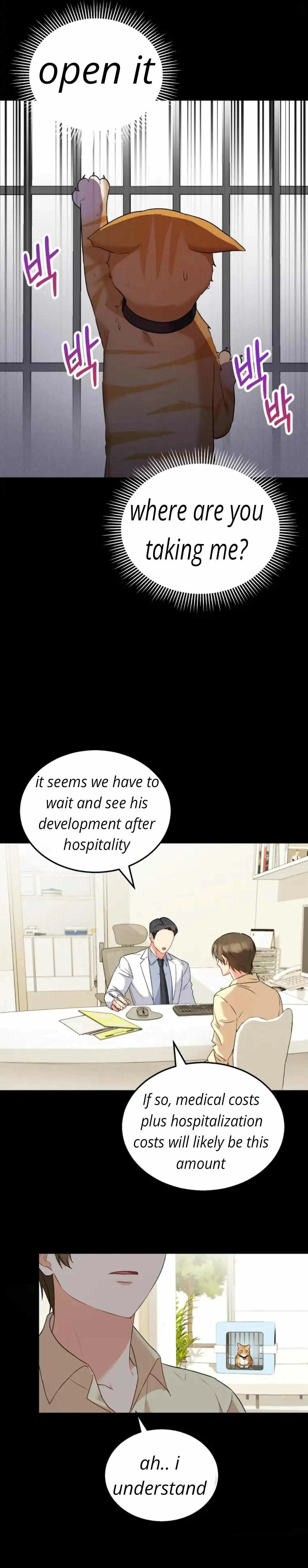 Hello, Mr. Veterinarian! Chapter 7.1 page 31 - 