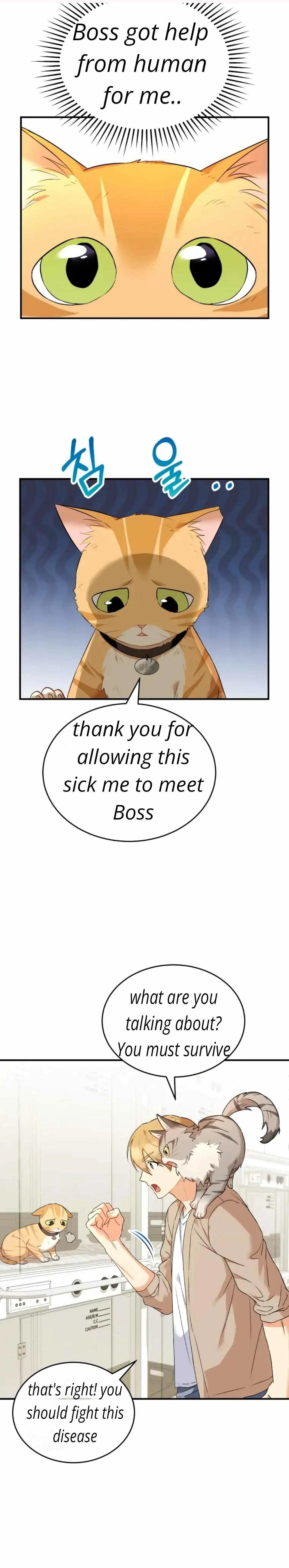 Hello, Mr. Veterinarian! Chapter 7.1 page 37 - 