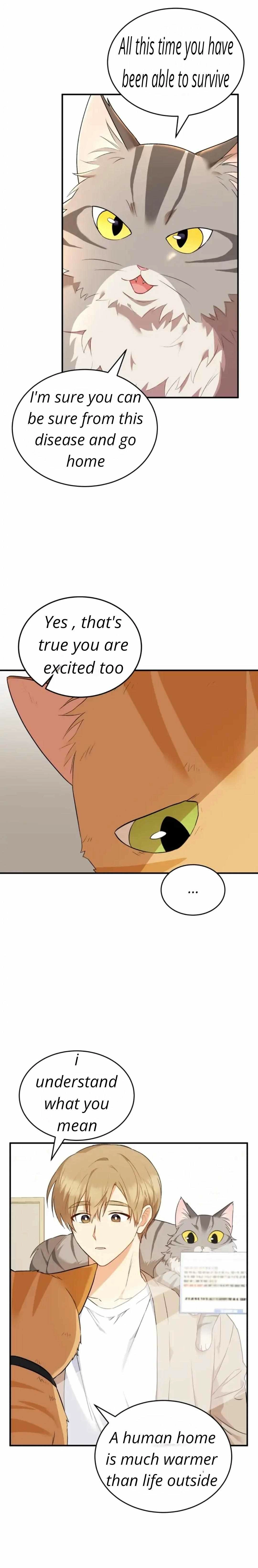 Hello, Mr. Veterinarian! Chapter 7.1 page 38 - 