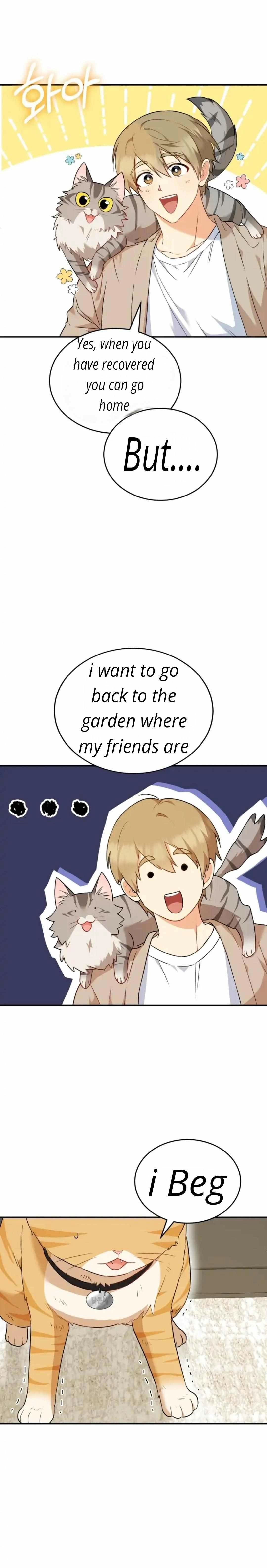 Hello, Mr. Veterinarian! Chapter 7.1 page 39 - 