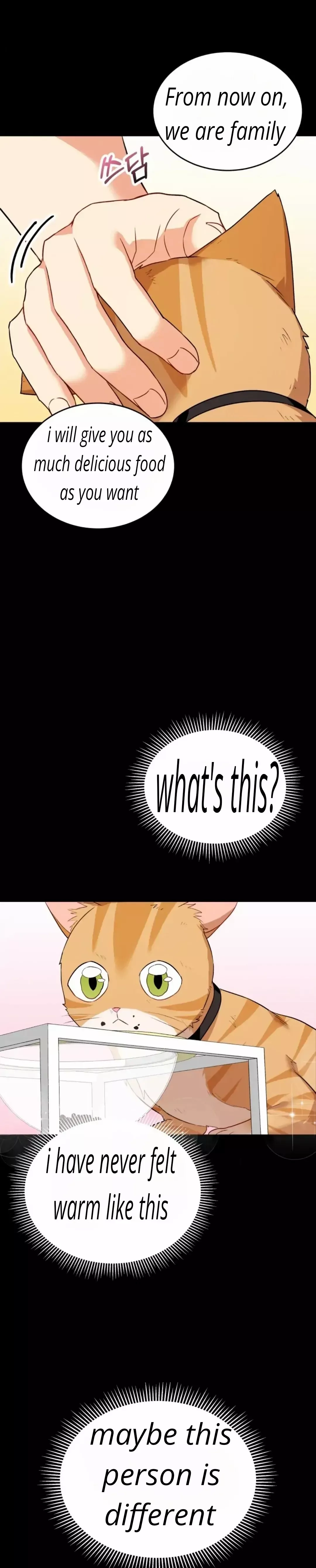 Hello, Mr. Veterinarian! Chapter 7 page 23 - 