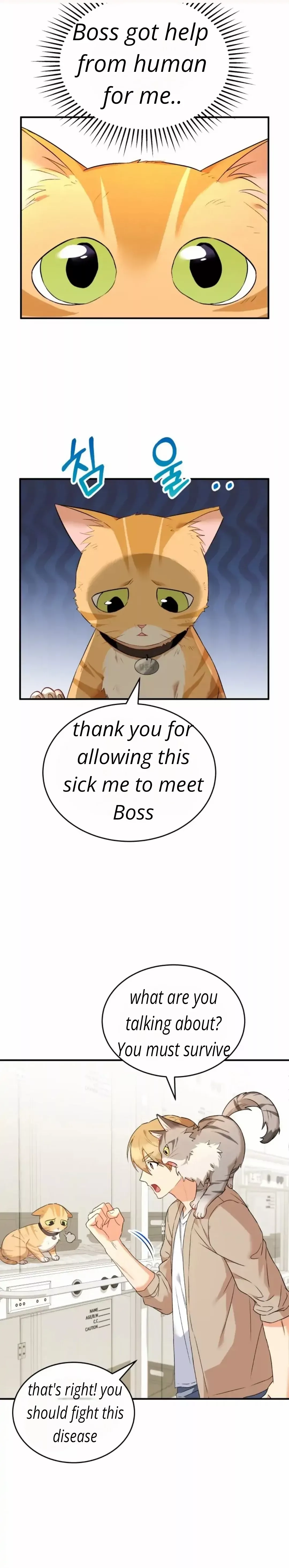 Hello, Mr. Veterinarian! Chapter 7 page 32 - 