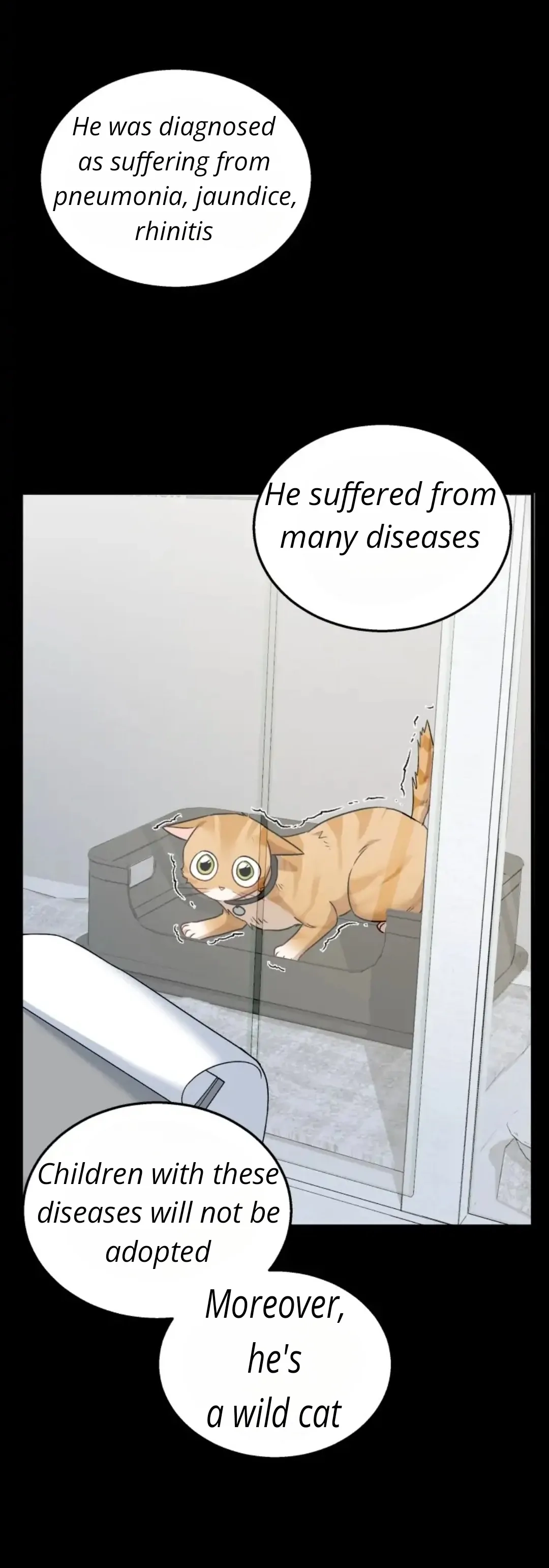 Hello, Mr. Veterinarian! Chapter 7 page 8 - 
