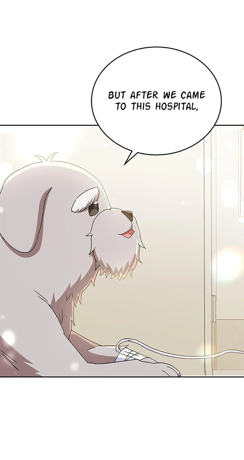 Hello, Mr. Veterinarian! Chapter 70 page 24 - 