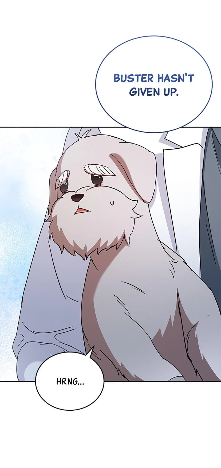 Hello, Mr. Veterinarian! Chapter 72 page 40 - 