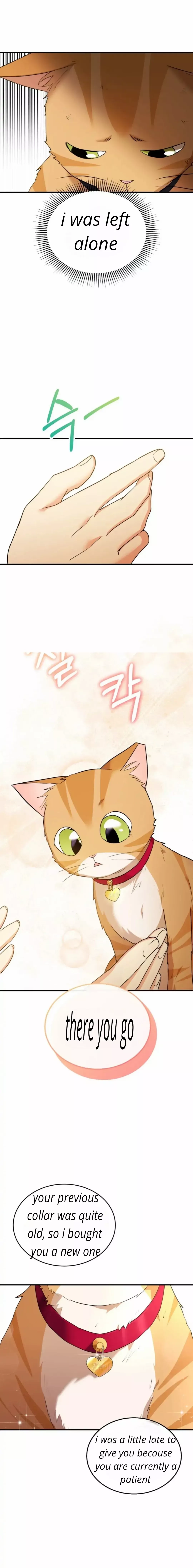 Hello, Mr. Veterinarian! Chapter 8 page 16 - 