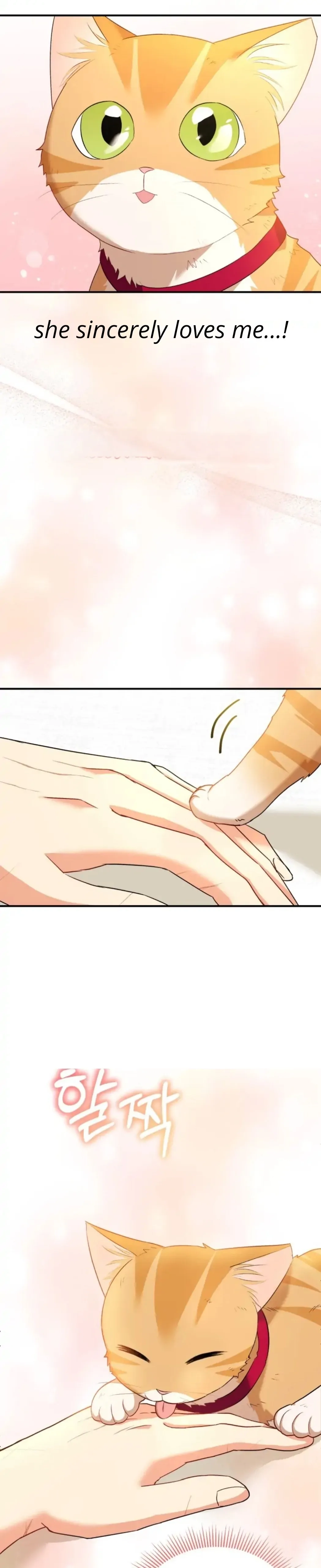 Hello, Mr. Veterinarian! Chapter 8 page 18 - 