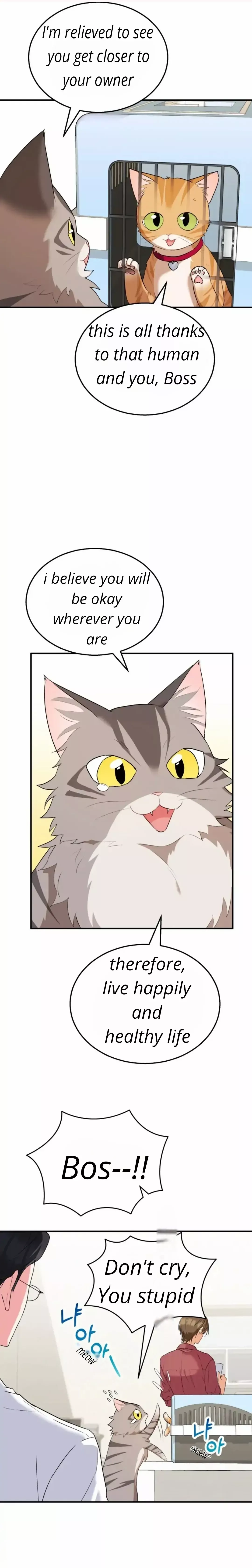 Hello, Mr. Veterinarian! Chapter 8 page 22 - 