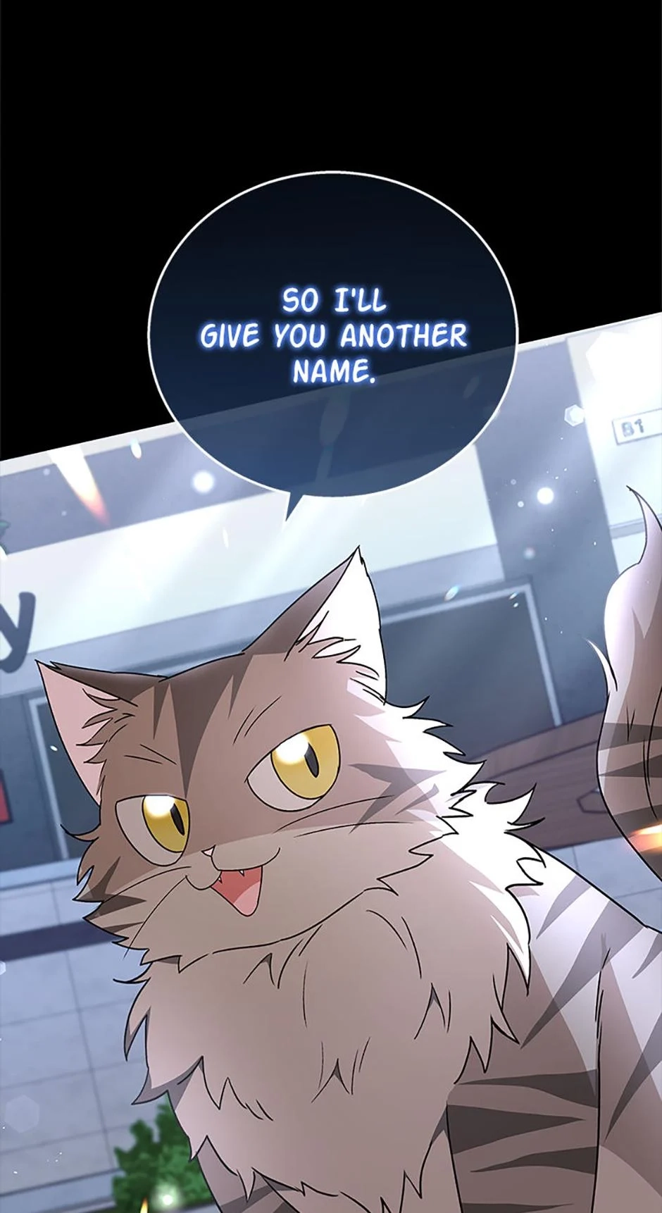 Read Hello, Mr. Veterinarian! chapter 81 image 11 on Lezhin