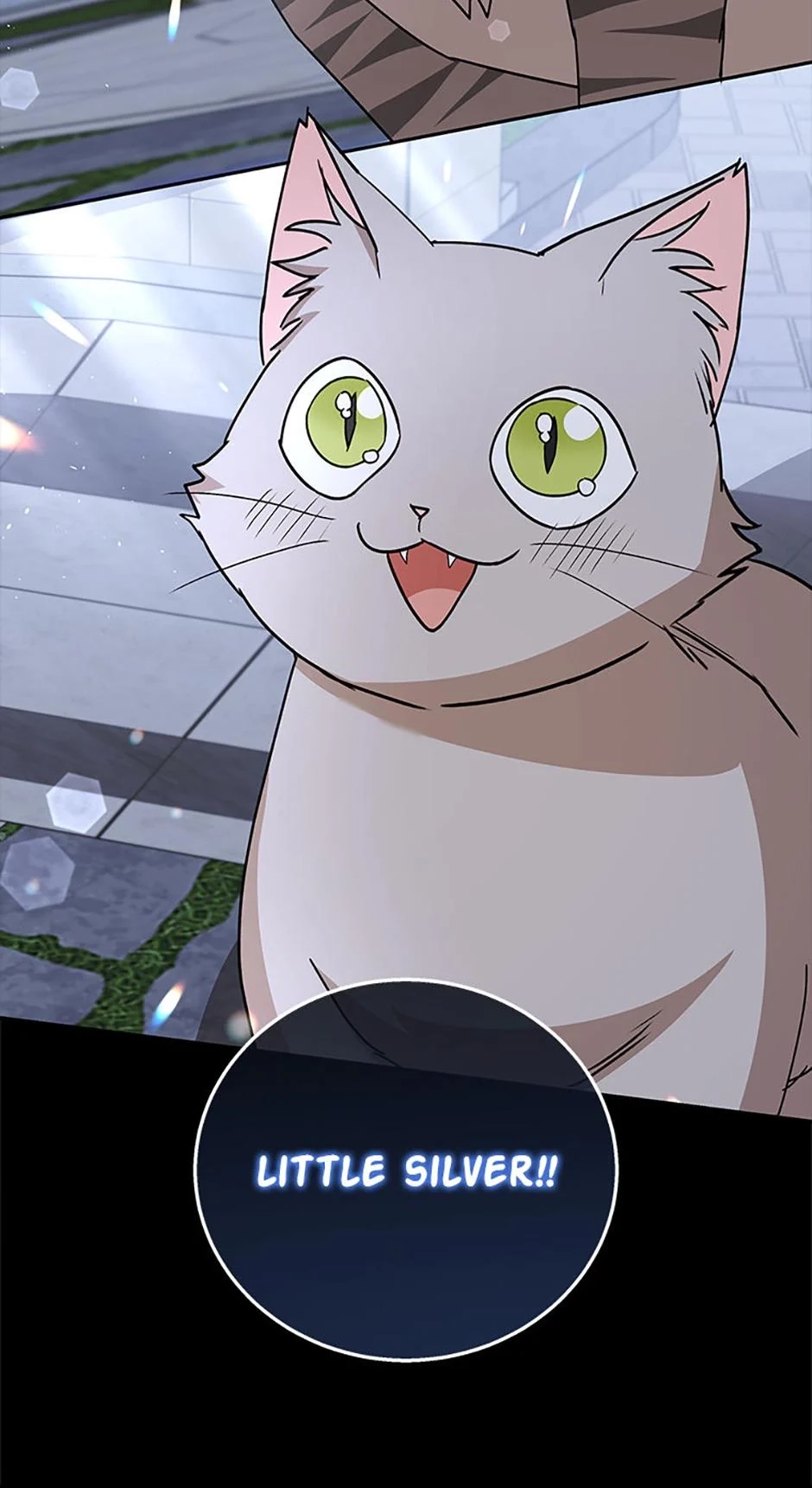 Read Hello, Mr. Veterinarian! chapter 81 image 12 on Lezhin