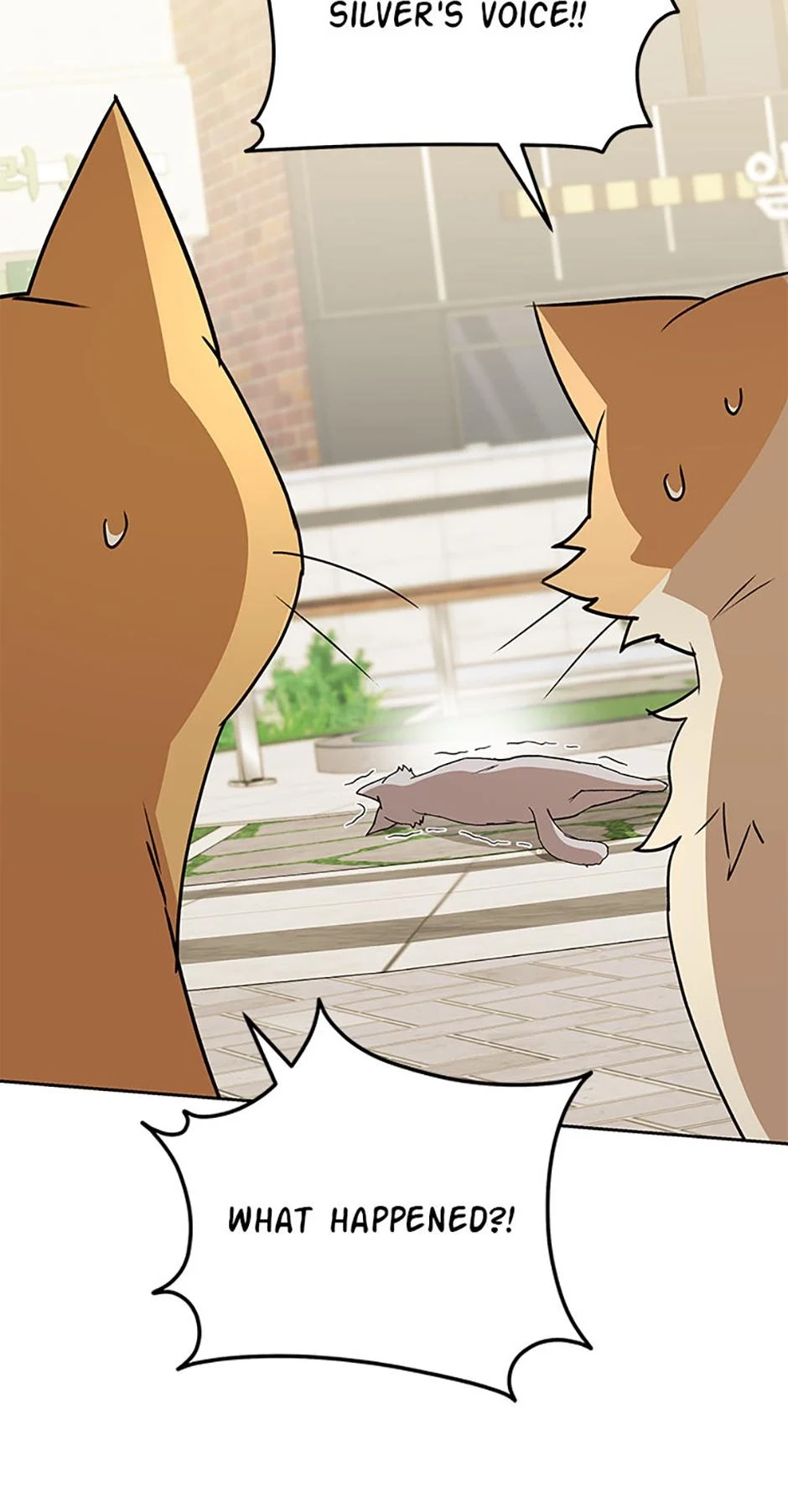 Read Hello, Mr. Veterinarian! chapter 81 image 23 on Lezhin