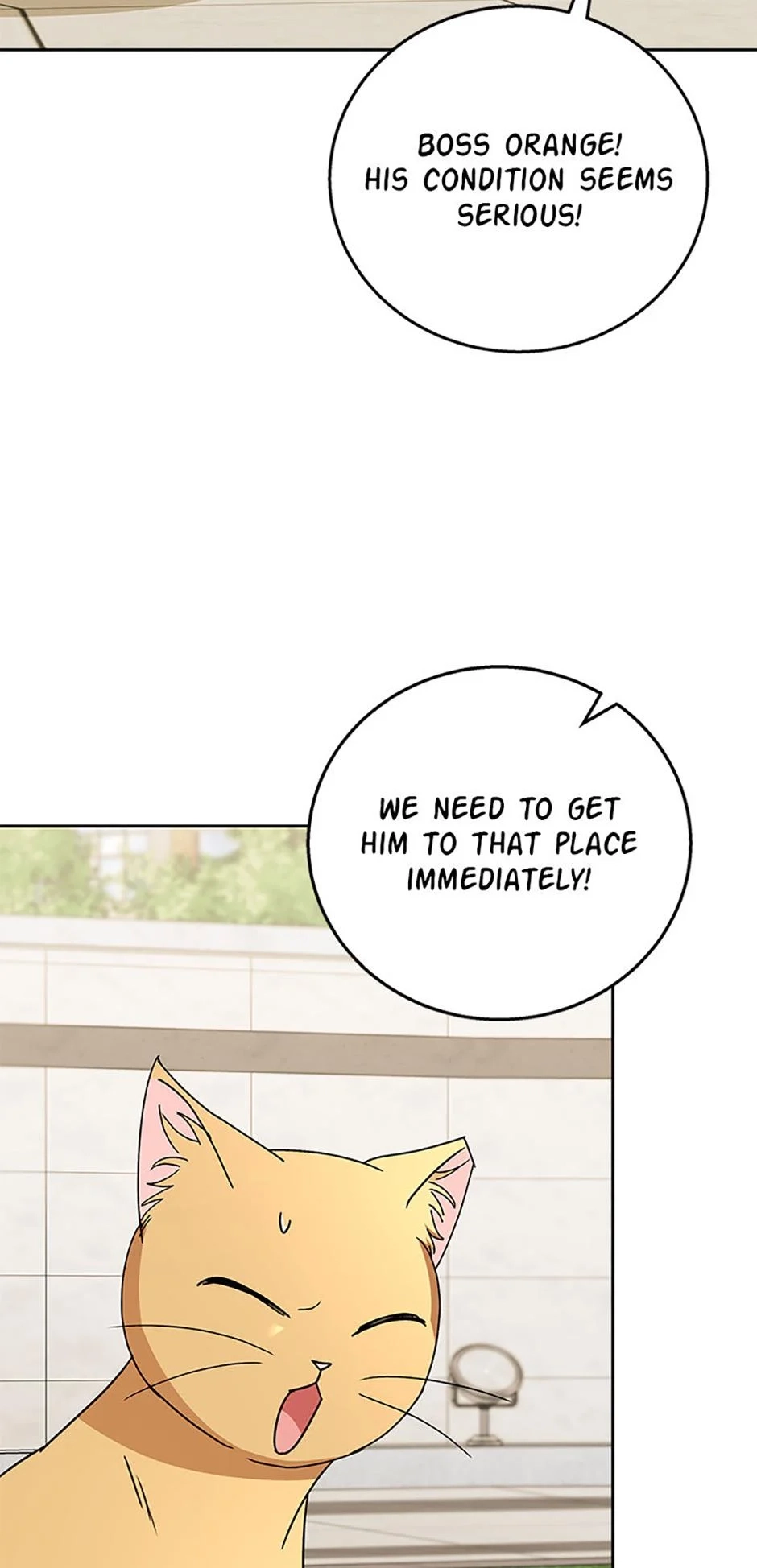 Read Hello, Mr. Veterinarian! chapter 81 image 26 on Lezhin
