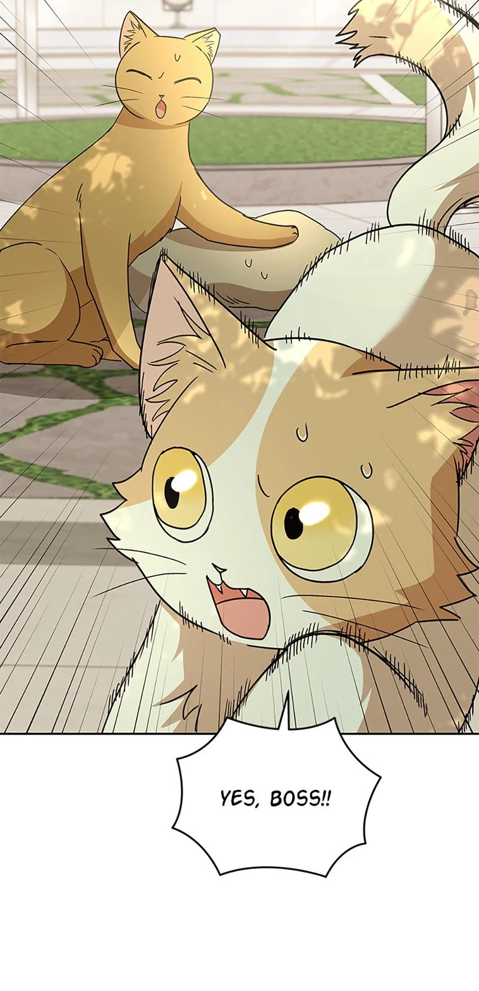 Read Hello, Mr. Veterinarian! chapter 81 image 28 on Lezhin