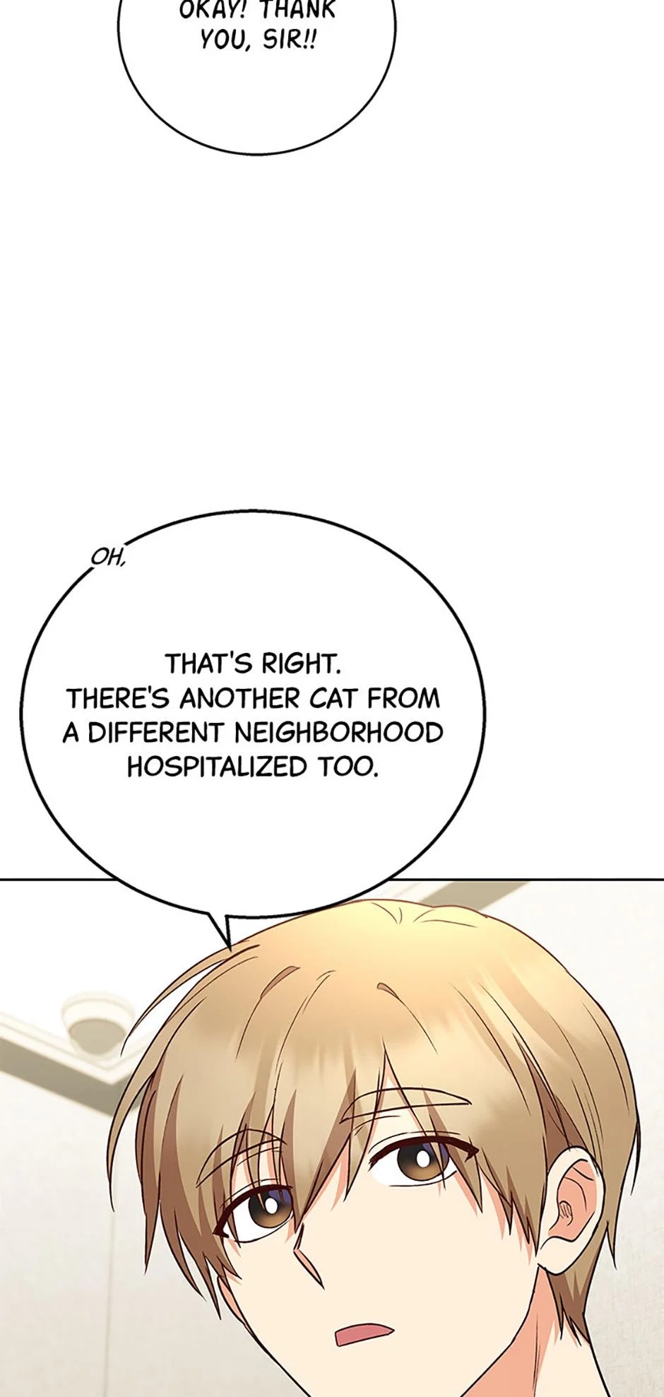 Read Hello, Mr. Veterinarian! chapter 81 image 37 on Lezhin