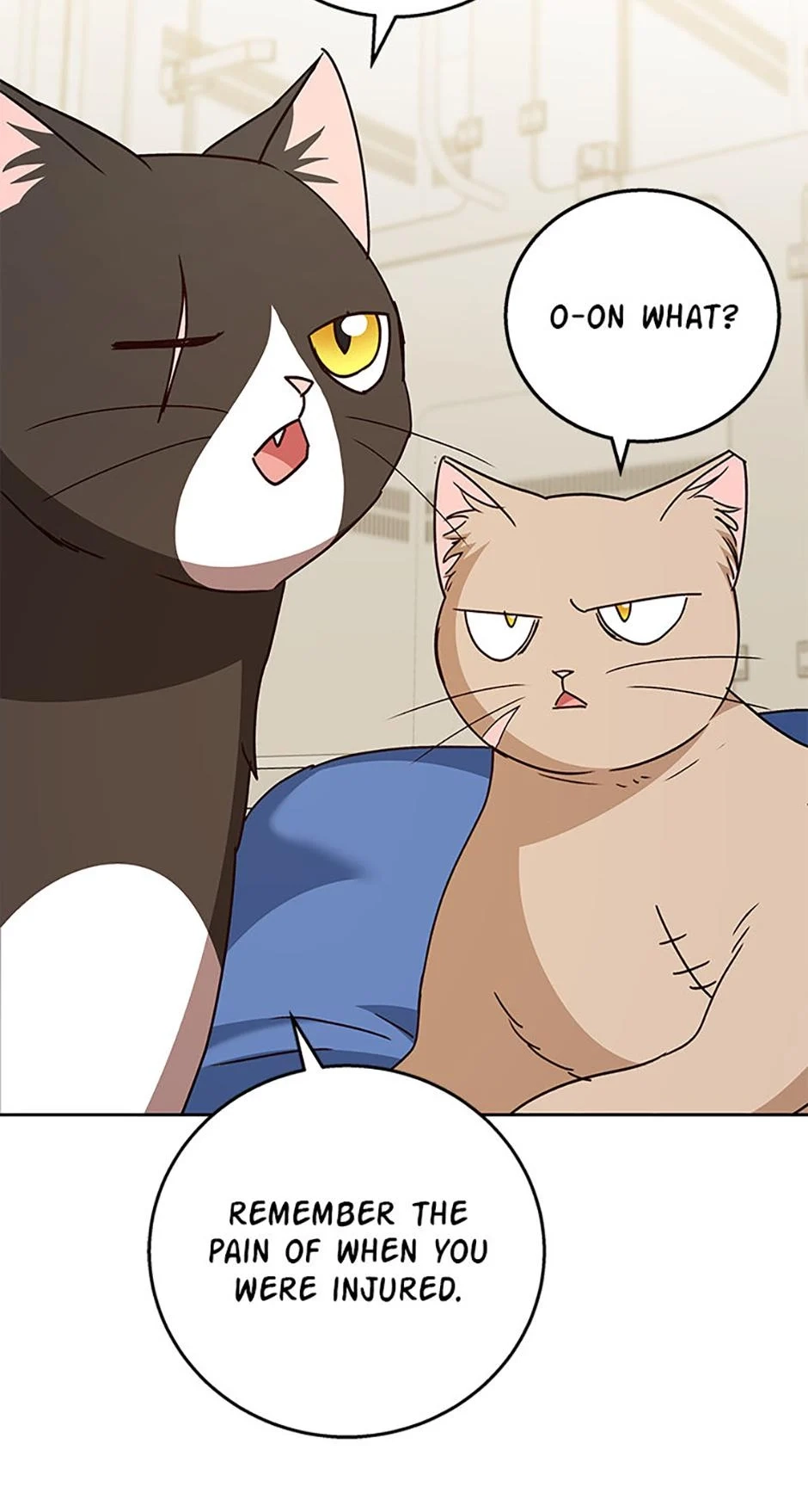 Read Hello, Mr. Veterinarian! chapter 81 image 57 on Lezhin