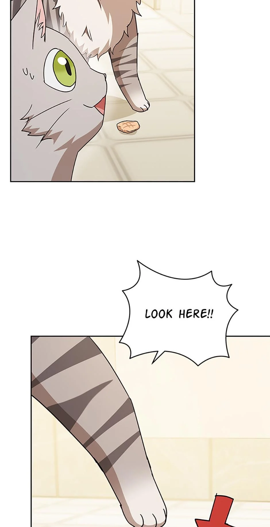 Read Hello, Mr. Veterinarian! chapter 81 image 63 on Lezhin